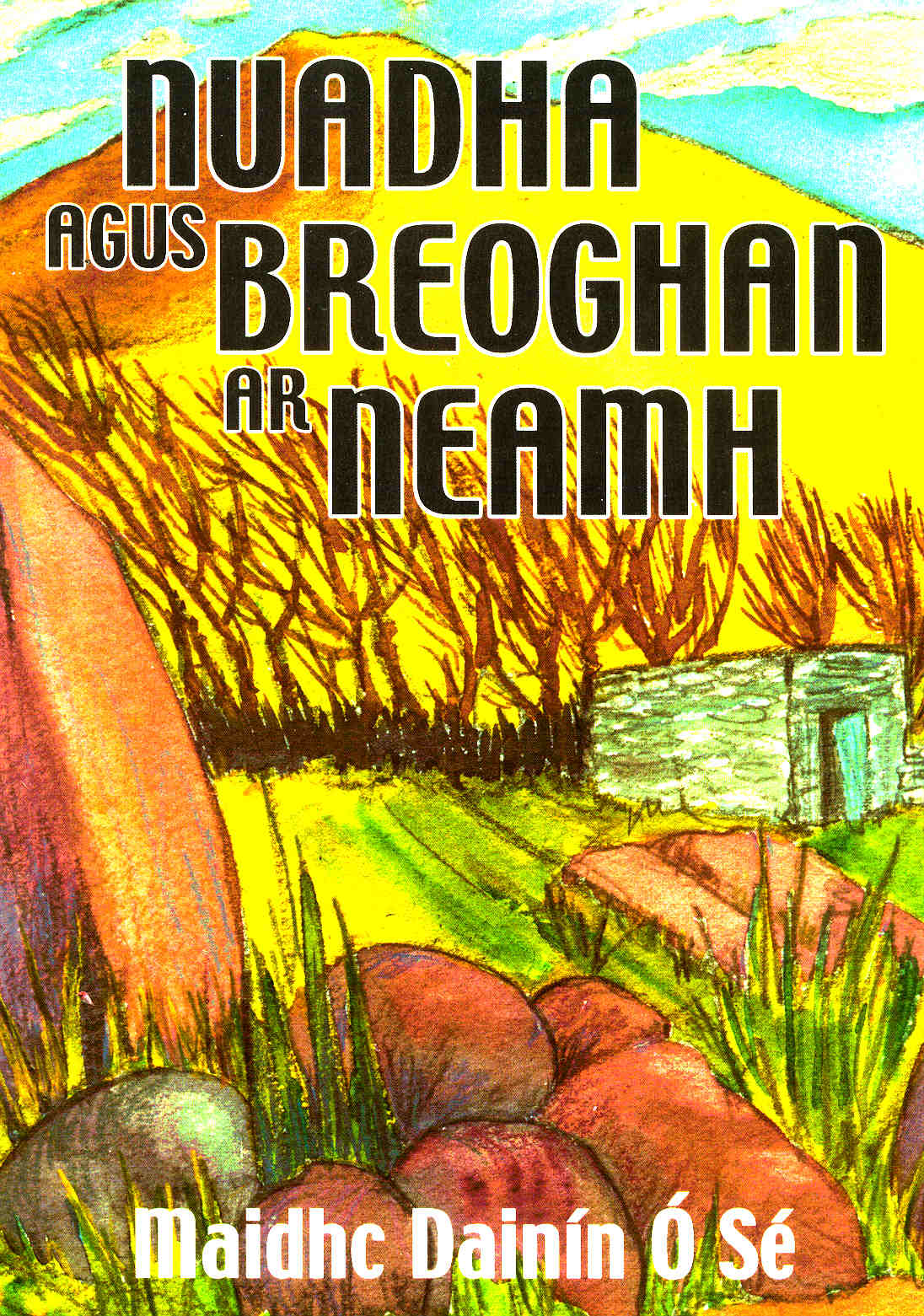 Déagóirí Teenagers Books Coisceim Maidhc Dainín Ó Sé 2006